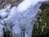 Von Stein am Bachufer herabhängende Eishand